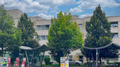 IMG_3175 - 