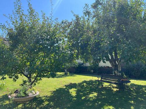 tempImage0j3Vyb.jpg - 