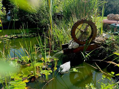 tempImagexK4Rzo.jpg - 