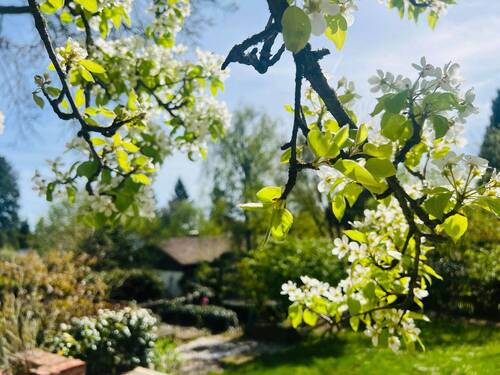 tempImagebNXMEj.jpg - 