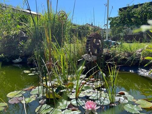 tempImagenvrQac.jpg - 