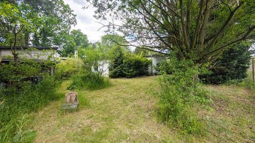 Blick in den Garten - 