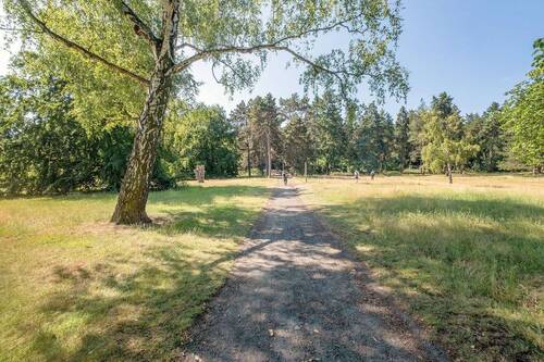 Umgebungsbild Volkspark Rehberge - 