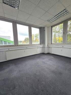 Große Fensterfronten - 