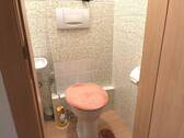IMG_3526 - 
