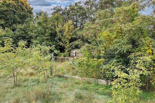 Blick auf das Grundstück - Grundstück in Lychen