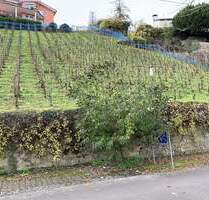 Baugrundstück mit Moselblick in Hanglage - Alf