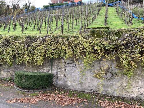 Straßenansicht - Grundstück zum Kaufen in Alf