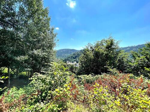 Aussicht untere Terrasse - 