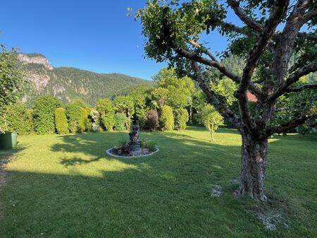 Garten - 