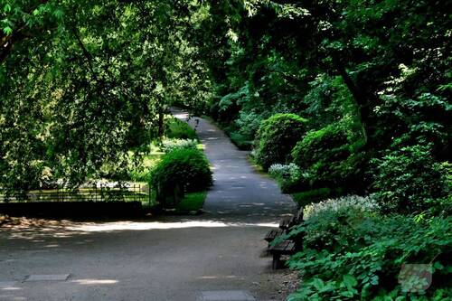 Botanischer Garten - 