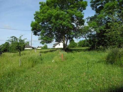 4.jpeg - Grundstück in Plascheid zum Kaufen