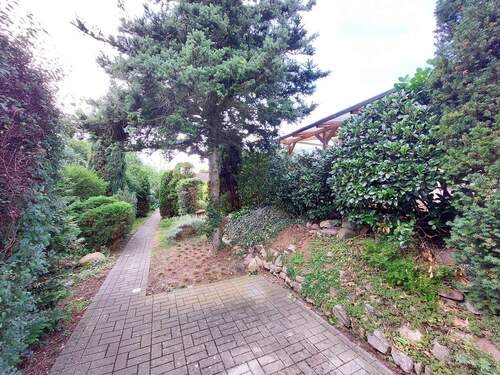 Zuwegung zum Haus Teil2 - Einfamilienhaus mit 73,60 m² in Wiesengrund zum Kaufen