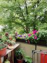 Balkonausblick - 