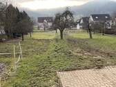 Garten hinterm Haus - 