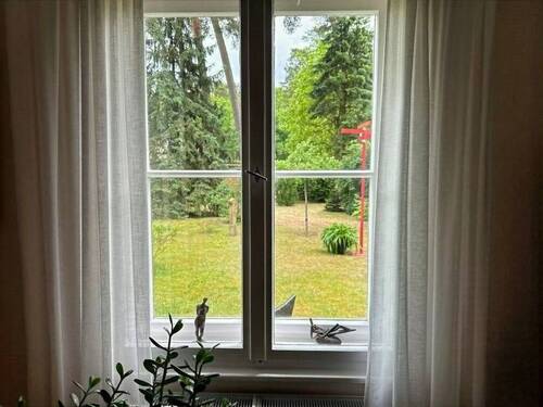 Blick in den Garten - 