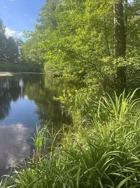Seerosenweiher,fußläufig in ca. 4 Min.erreichbar - 