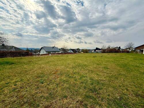 IMG_2221.jpeg - Grundstück in Daleiden zum Kaufen