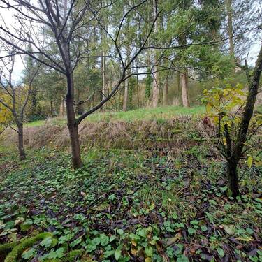 Gartengrundstück - 