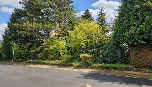 Blick vom Gehweg auf das Baugrundstück - Grundstück zum Kaufen in Löhne