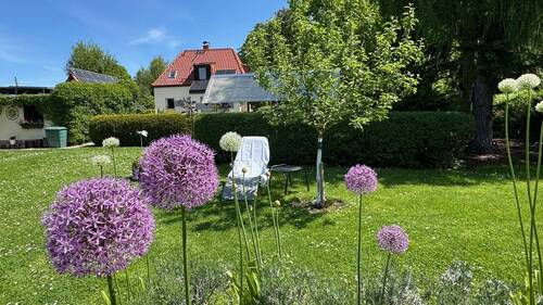 ansprechende Bepflanzung - 
