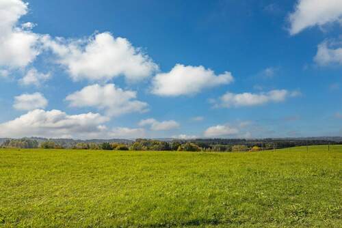 Blick zum Golfplatz - 