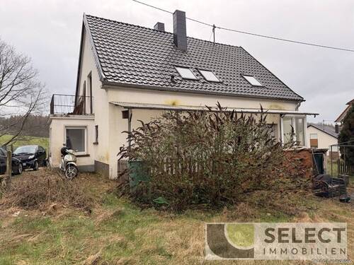 Rückansicht - 7 Zimmer Mehrfamilienhaus, Wohnhaus zum Kaufen in Losheim am See