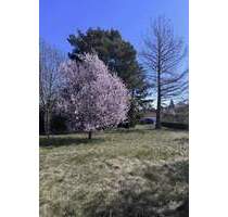 perfekt für Ihr Vorhaben - Baugrundstück und Ihr individuelles EFH - Oranienburg