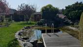 der Badeteich - 