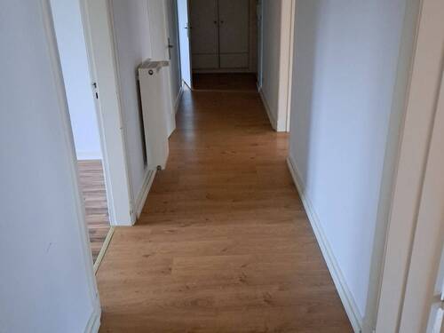 20251111_0750591.jpg - 