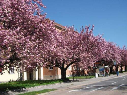 Lutherstr. - Nachbar gesucht !!! moderne 2-Zimmer-Wohnung- schick saniert !!!!!!