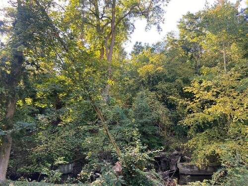 8 Blick auf Böschung Mühlenteich-Bach von Osten - 