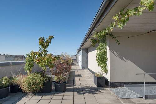 Gemeinschaftsdachterrasse - 