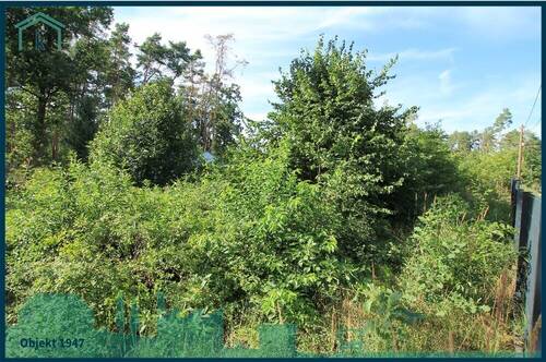 Ansicht 1.jpg - Grundstück in Am Mellensee