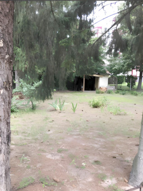 6 - 