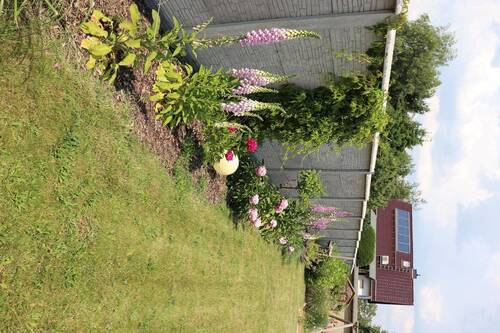 Garten - 