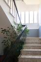 Haus-Newel-03.jpg - 