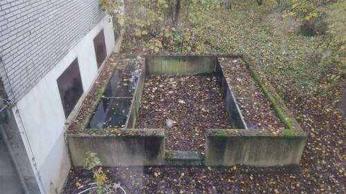 IMG_20251117_100822 - 1 Zimmer Mehrfamilienhaus, Wohnhaus in Rees