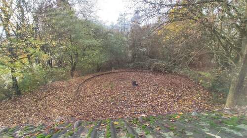 IMG_20251117_101806 - Mehrfamilienhaus, Wohnhaus mit 466,00 m&sup2; in Rees zum Kaufen