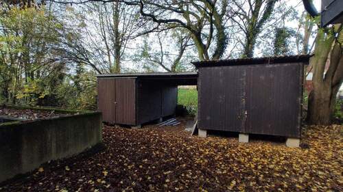 IMG_20251117_102843 - 