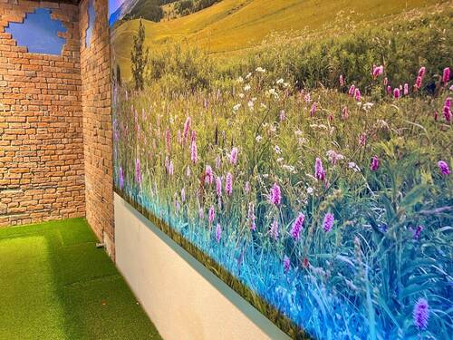 Leinwand - 