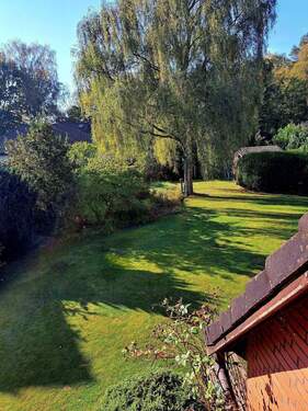 Der wunderschöne Garten - 