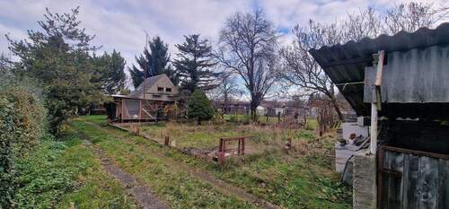 Blick in den Garten - 