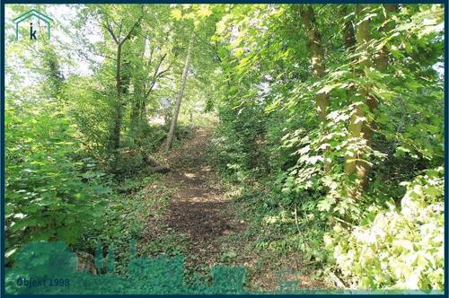 1998 Blick übers Grundstück.jpg - Grundstück in Am Mellensee zum Kaufen