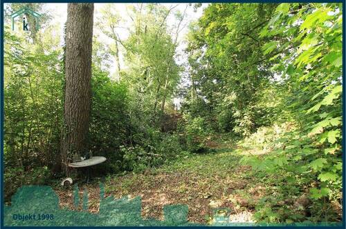 1998 viel grün.jpg - 