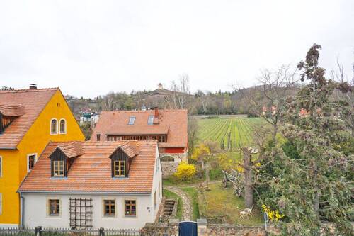 Blick in die Weinberge - Niederlößnitz - am Fuße der Weinberge