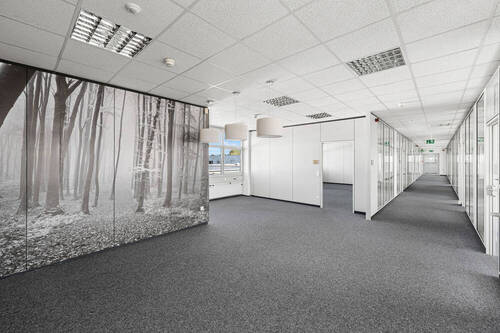 Bürofläche OG - 
