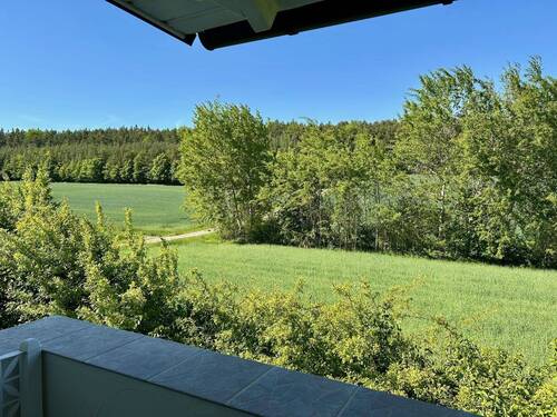 Ausblick Hauseingangsbereich - 