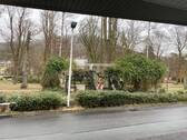 IMG_1208.jpg - 