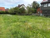 IMG_2482 - 